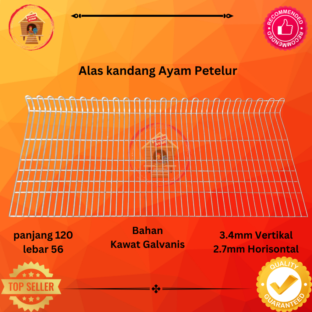 Alas kandang ayam petelur / layer - galvanis