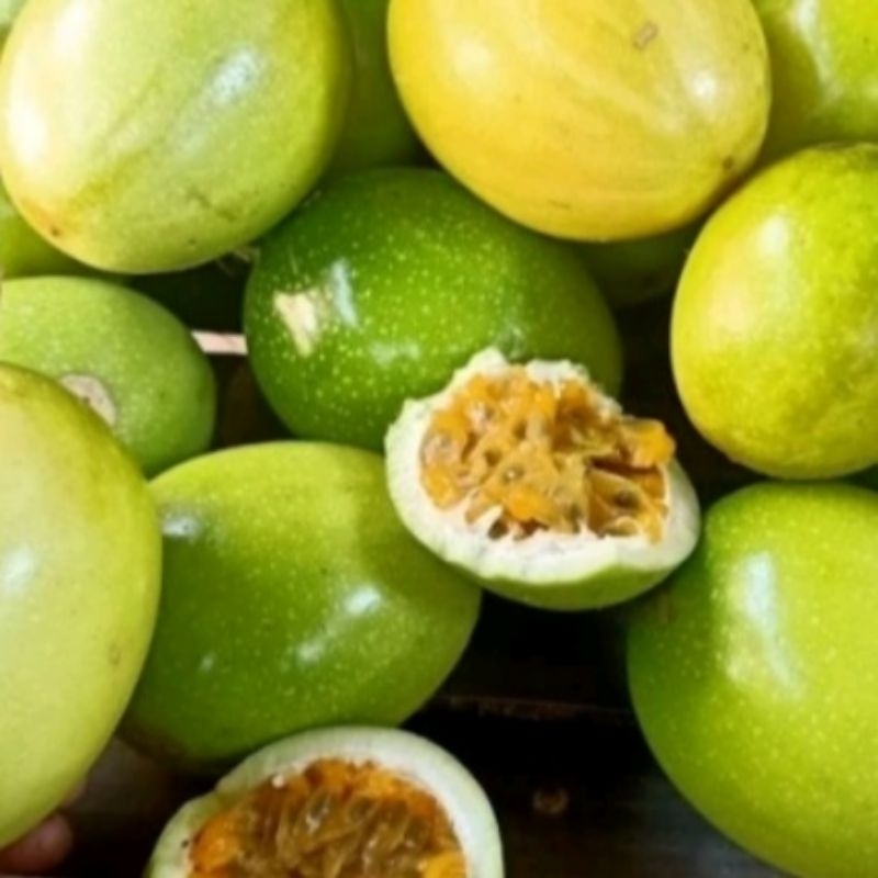 

buah markisa matang,asam manis segar 1kg