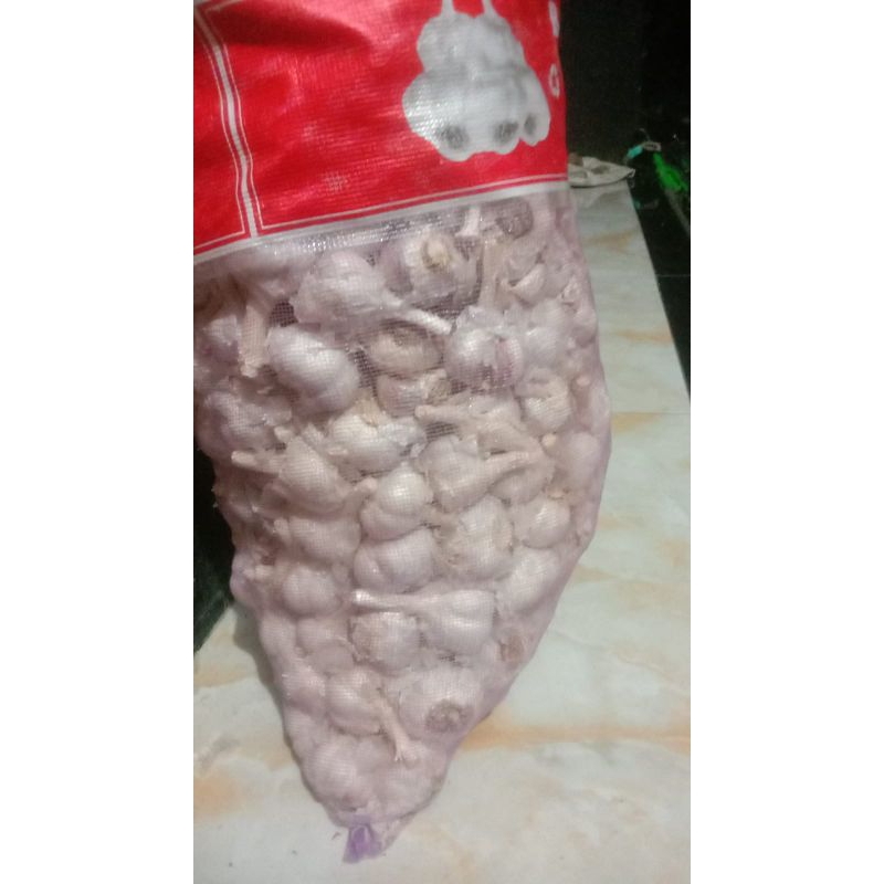 

TERLARISS DISHOPEE Bawang putih kating kemasan 1kg