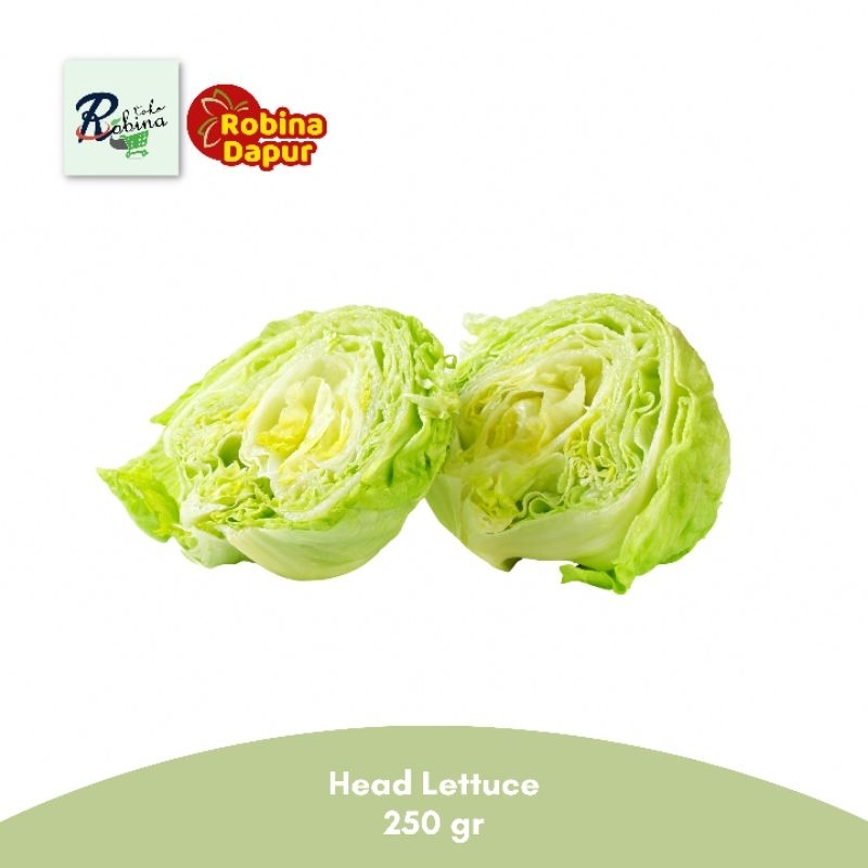 

Head Lettuce Fresh 250 - 350 gr