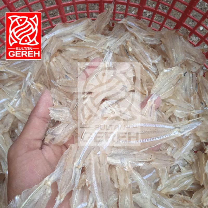 

IKAN KRASAK/KALAPAN KERING KWALITAS SUPER
