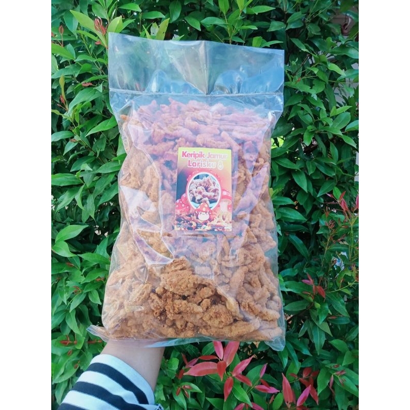 

Keripik Jamur Rasa Pedas Gurih 500gr/Keripik Jamur/Jamur tiram crispy rasa Pedas Gurih