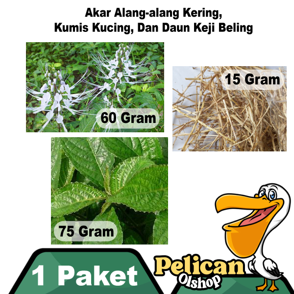 

Obat Herbal 1 Paket Keji Beling 75 Gram Kumis Kucing 60 Gr Akar Alang-alang Ilalang Kering 15gr Paketan