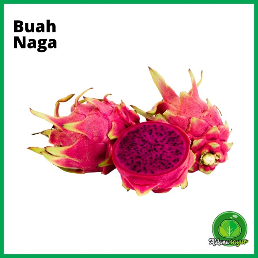 

Buah Naga aldana sayur garut 1Kg