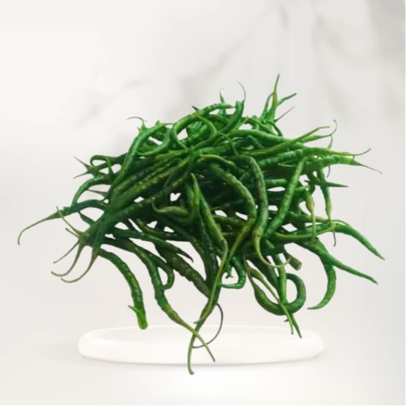 

Cabai ijo keriting 500 gr