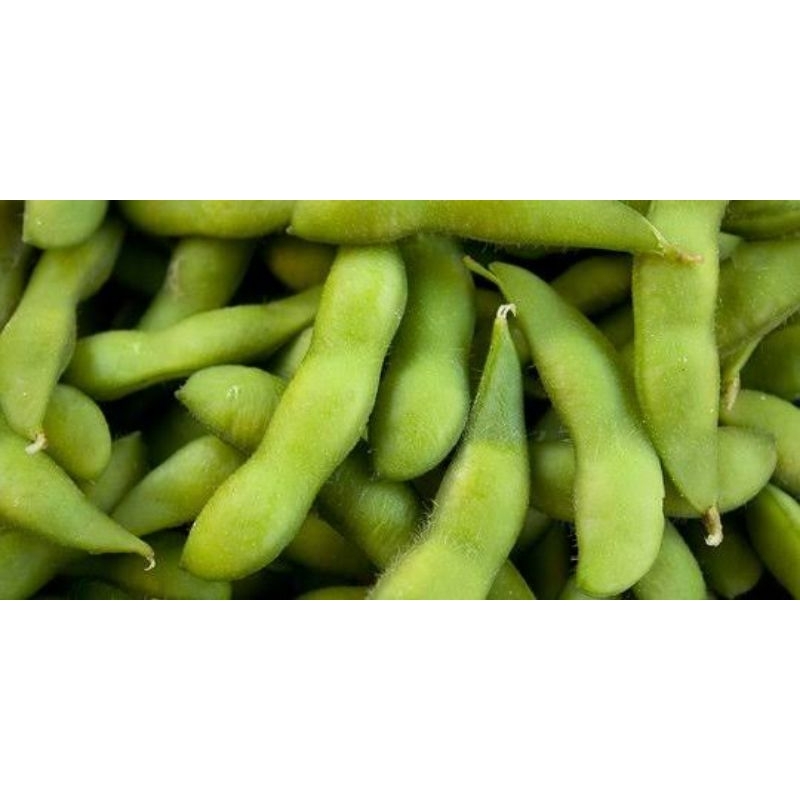 

EDAMAME KEDELAI JEPANG FRESS