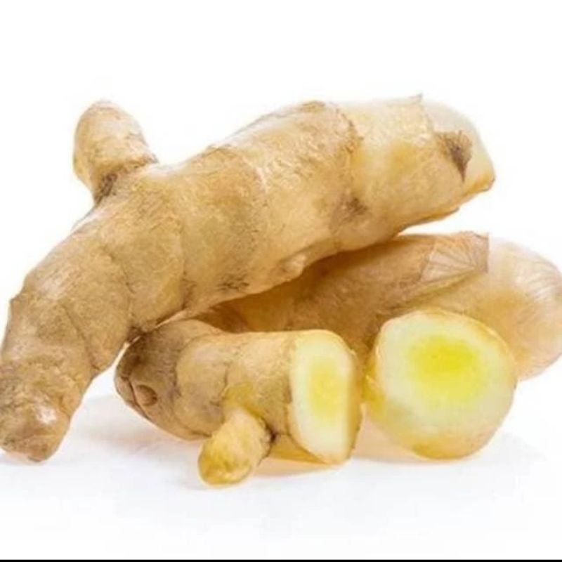 

TEMU PUTIH/KONENG PUTIH ORGANIK 250 g