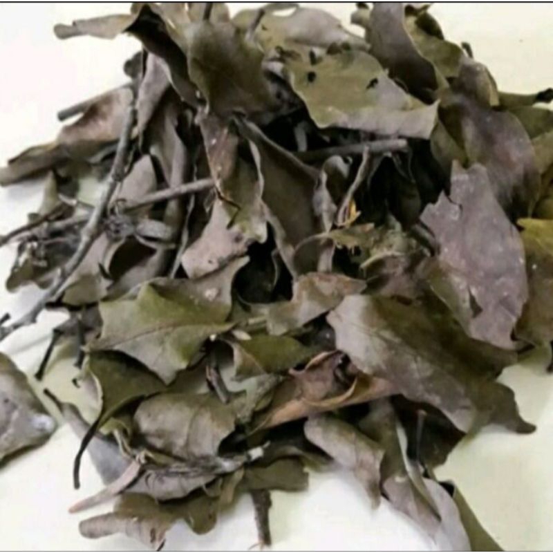 

Benalu alpuket kering benalu daun alpukat 1kg