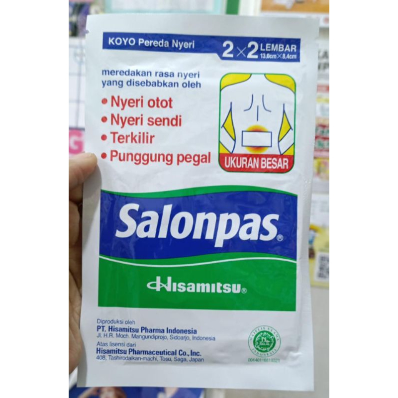 Salonpas Koyo Large Ukuran Besar