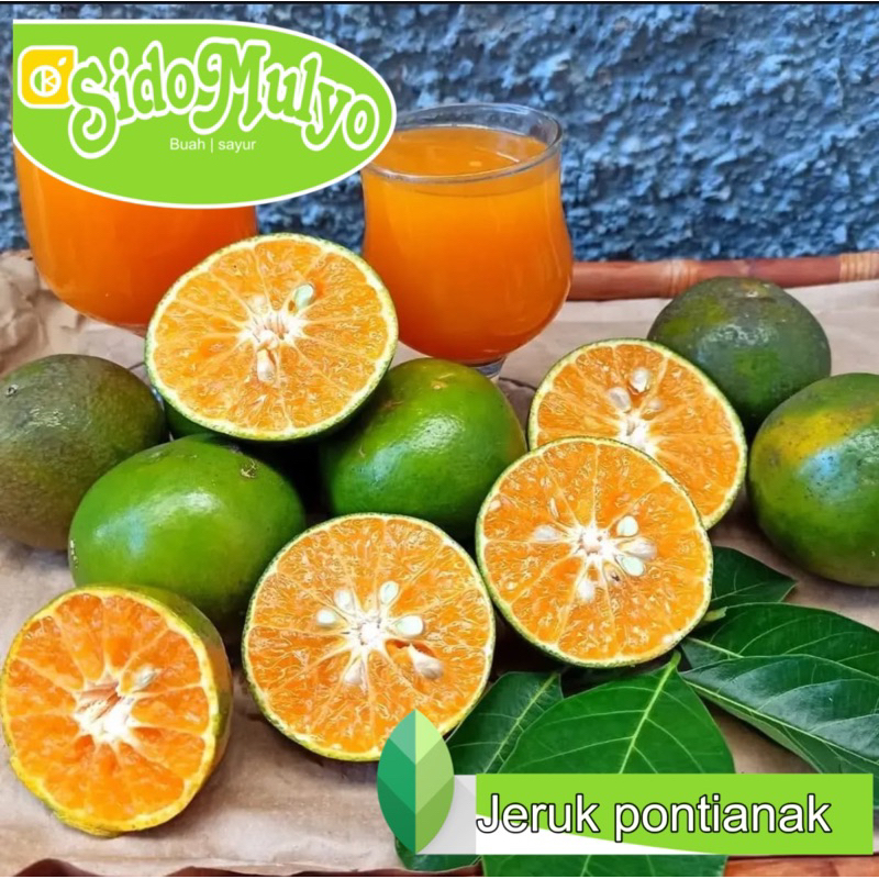 

Jeruk Pontianak siam fresh hijau | ud sidomulyo fresh