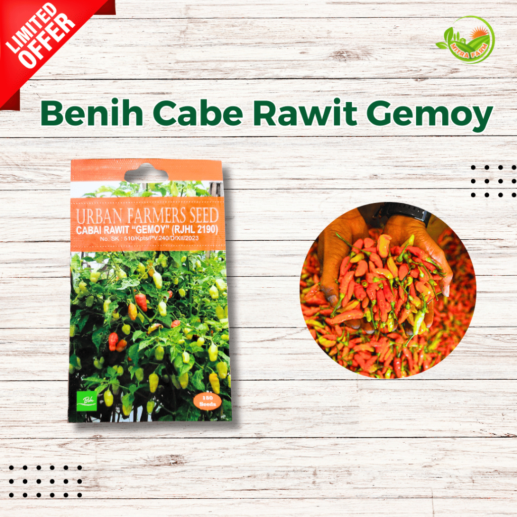 Benih Cabe Rawit Gemoy-Benih Cabe Rawit Murah-Benih Cabe