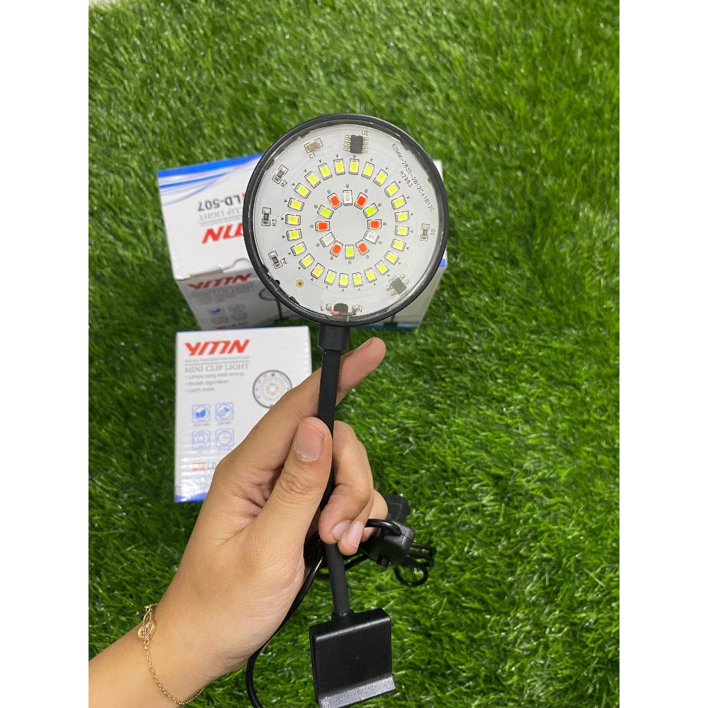 Lampu jepit aquarium aquascape lampu led aquarium bulat 3X GANTI WARNA