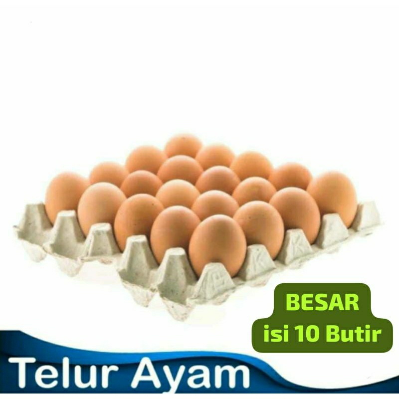 

[INSTANT MEDAN] Telur Ayam Eropa BESAR isi 10 Butir