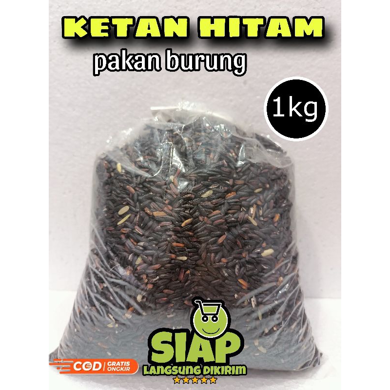 ketan hitam pakan burung