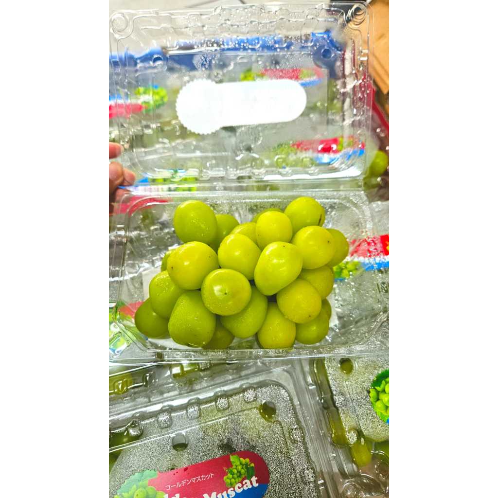 

Anggur Shine Muscat Pack 500gr