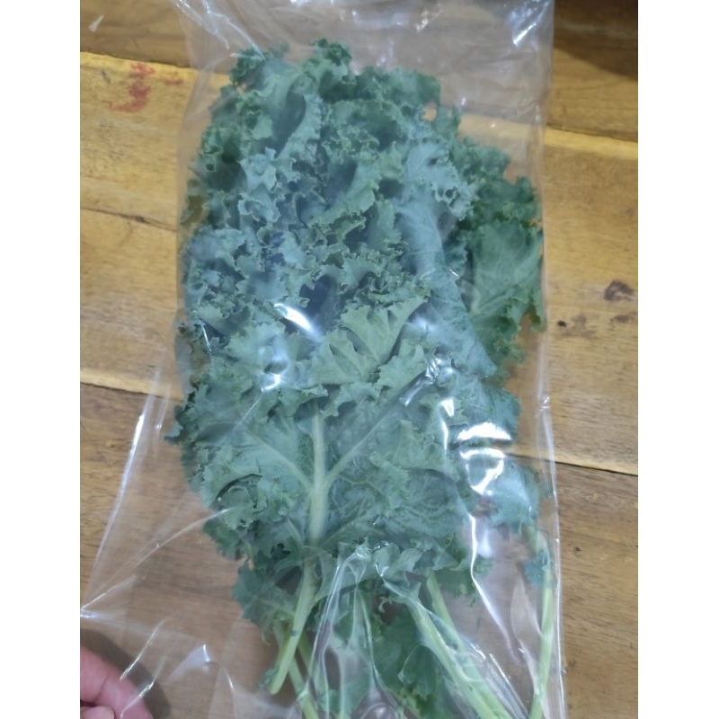 

Kale Hidroponik 100gr