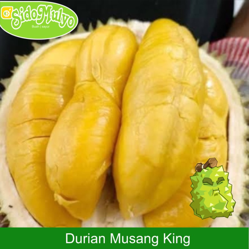 Buah Durian musang king fresh ( utuh ) 2-2.5 kg | ud sidomulyo fresh