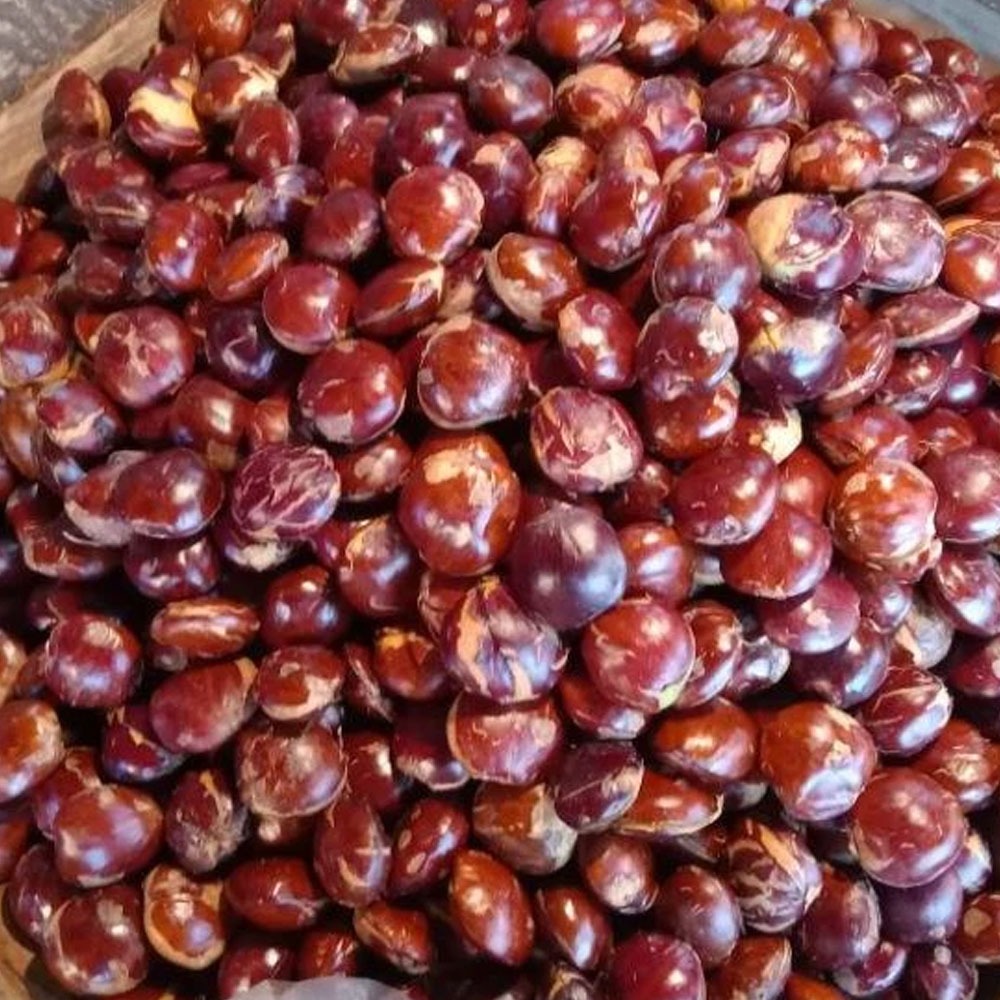 

Jengkol JRENG Segar 1 Kg
