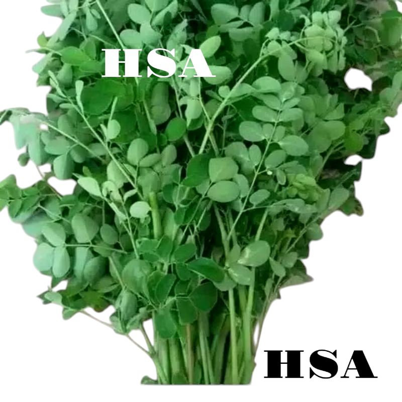 

Daun Kelor Segar 1kg