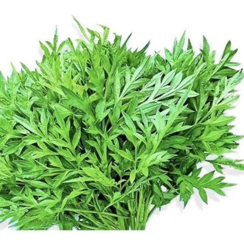 

daun kenikir daun raramidang segar 500 gram,daun kenikir segar,daun kenikir herbaldaun kenikir lalapan,,