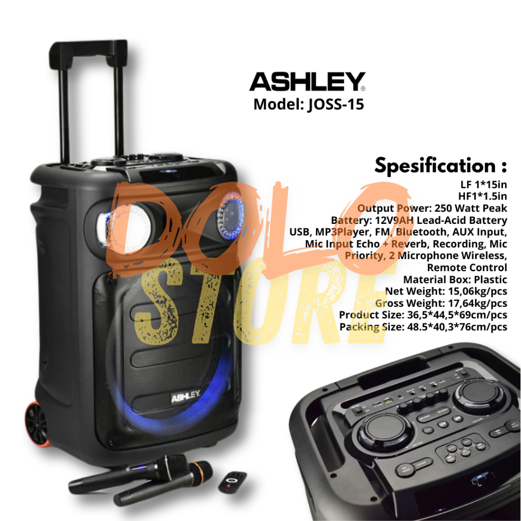 ACTIVE SOUND SYSTEM ORIGINAL ASHLEY JOSS-12