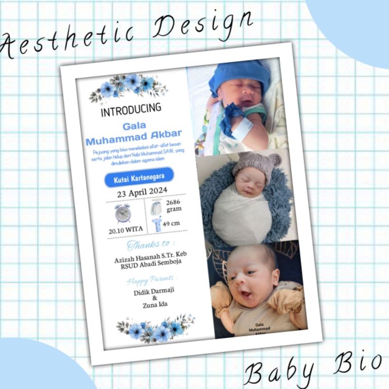 Aesthetic Biodata bayi