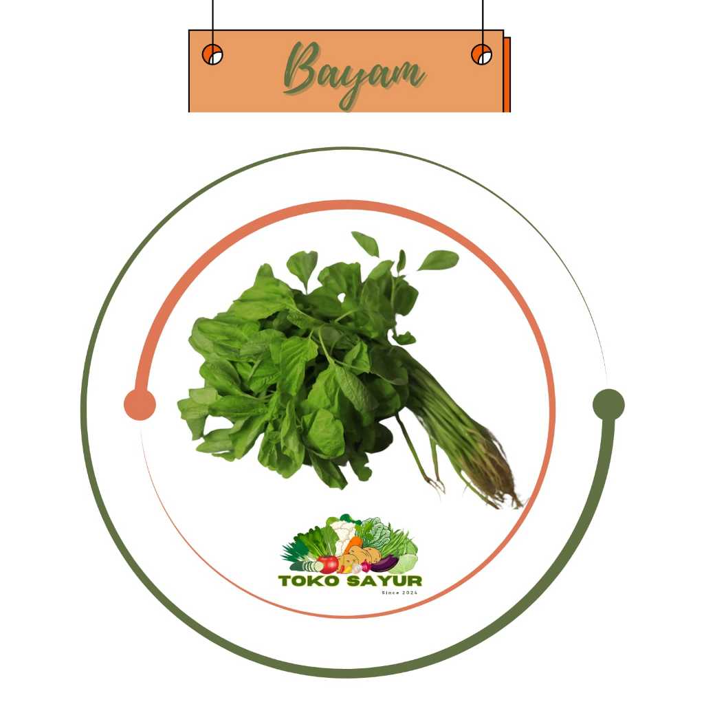 

Bayam 1 ikat