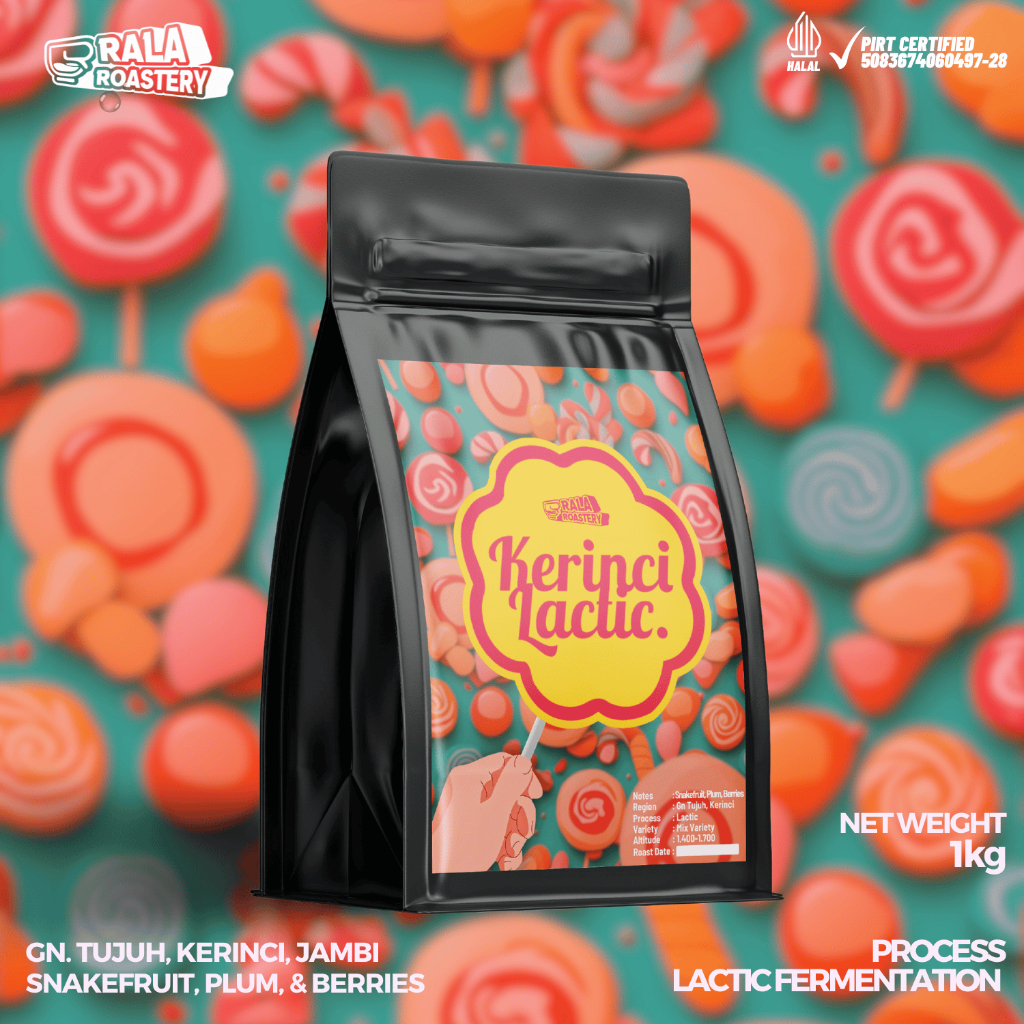 

Kopi Arabika Kerinci Lactic | Biji Kopi Single Origin Arabica 1kg