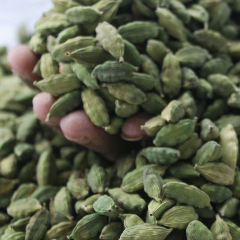 

Kapulaga Hijau kualitas Super Hijau super aroma 100gram