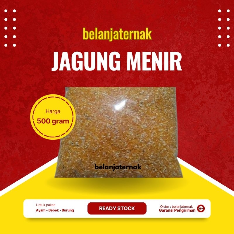 Jagung Menir Pakan Ternak Ayam Bebek - Jagung Menir 500 gram
