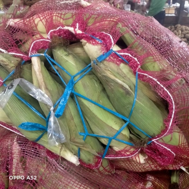 

OBRAL Jagung manis 1 buah