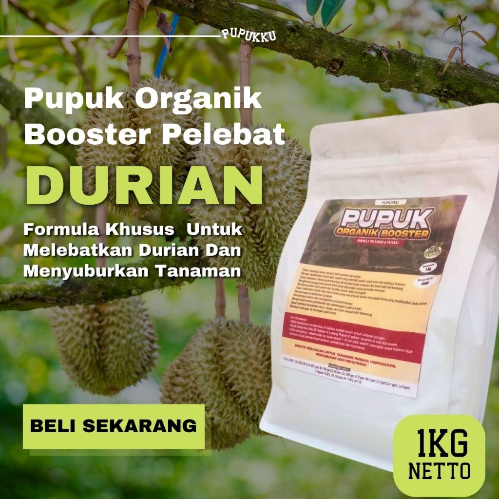 Pupuk Durian Cepat Berbuah tidak rontok Booster Pelebat Buah Durian Pupuk Durian montong musangking