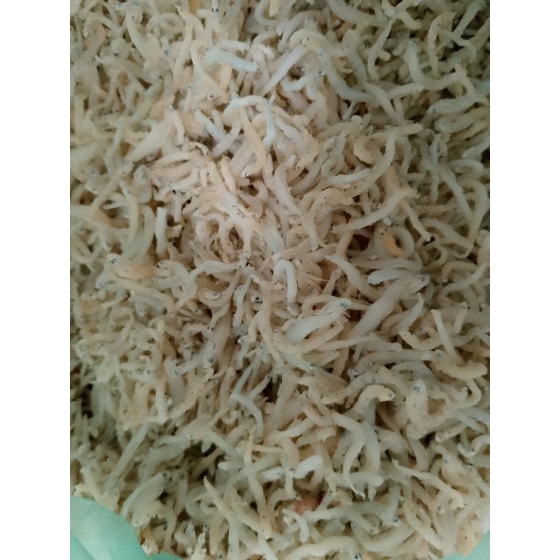 

Teri Medan 2 kg