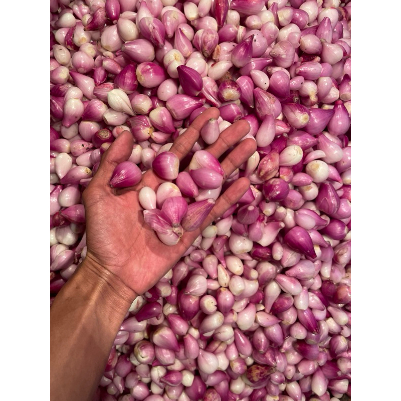 

bawang merah kupas