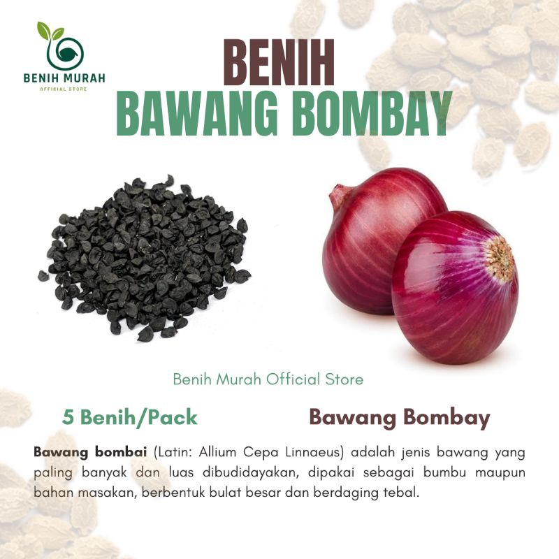 

Benih Bawang Bombay Merah / Bibit Bawang merah Besar / Biji Bawang Bombay Merah