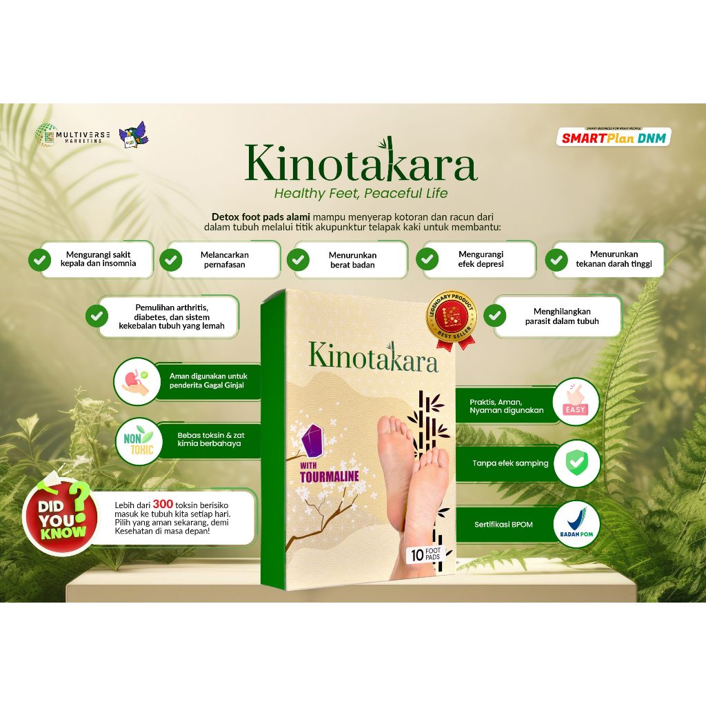 Kinotakara klink per box / k-link kinotakara per box / koyo detox