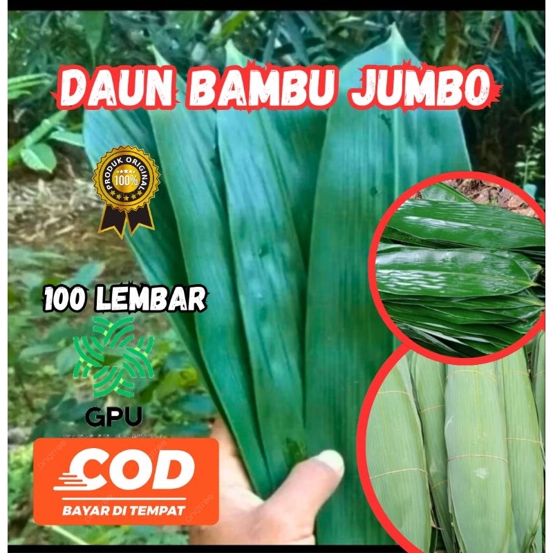 

DAUN BAMBU SEGAR UNTUK BUNGKUS BACANG DAN LAIN LAIN ISI 100 LEMBAR