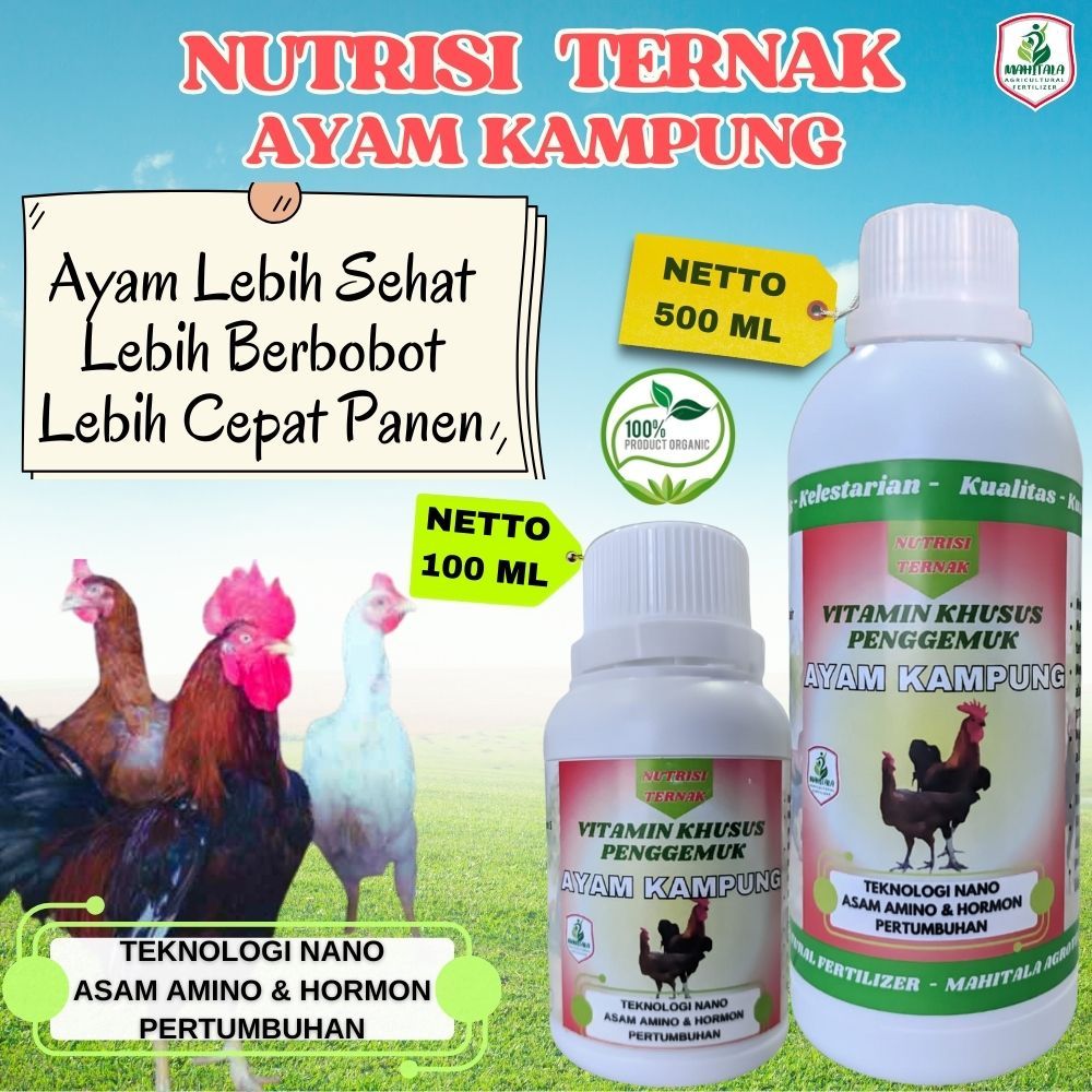 Vitamin Obat Ayam Kampung Cepat Besar Obat Jamu Ayam Jawa Ayam Bangkok Ayam Pedaging Ayam Petelor Ay