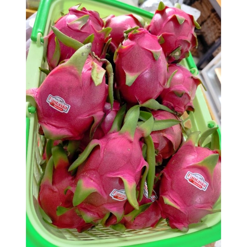 

Buah Naga putih organik