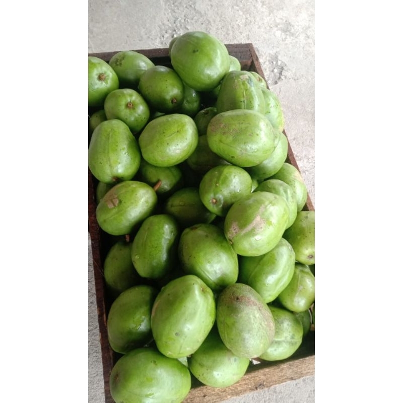 

buah kedongdong bangkok 1kg