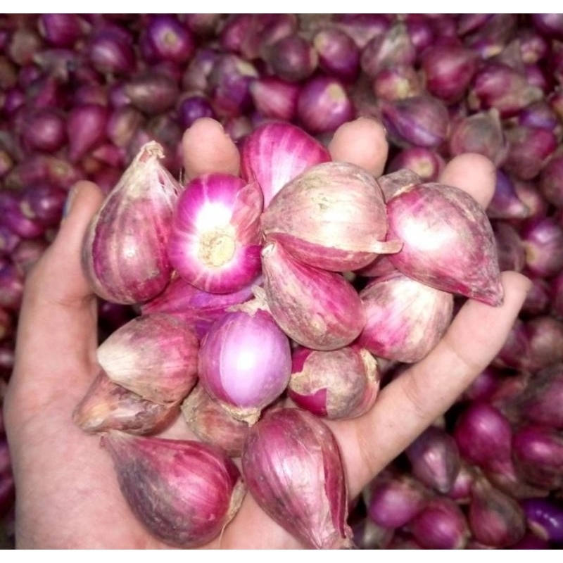 

bawang merah Brebes 1 kg / bawang merah fresh 1 kg