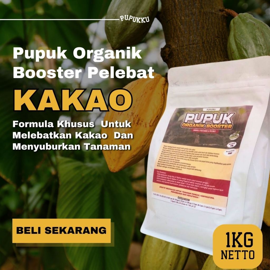 Pupuk Kakao Cepat Berbuah Lebat Booster Pelebat Kakao Pupuk organik Buah Kakao Berbuah lebat