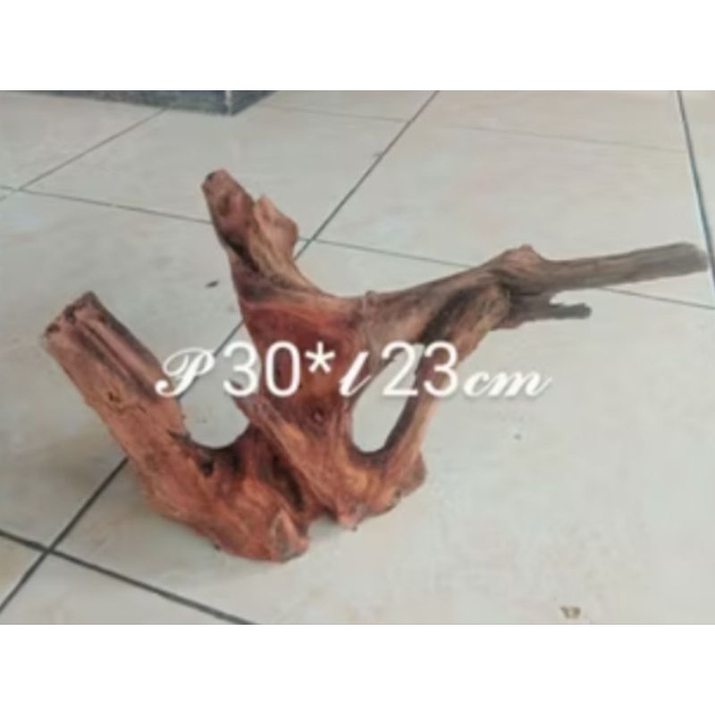 kayu aquascape ful tenggelam