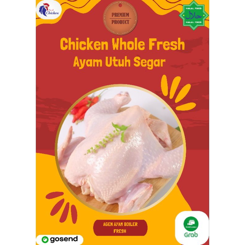 

FRESH CHICKEN Ayam Utuh ( Chicken Whole ) 0.9 - 1.1 Kg Bisa Di Potong 4 - 12