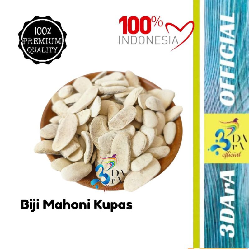 

Biji Mahoni Kering Kupas Kualitas Premium