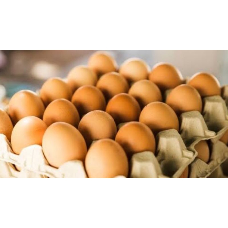 

telur