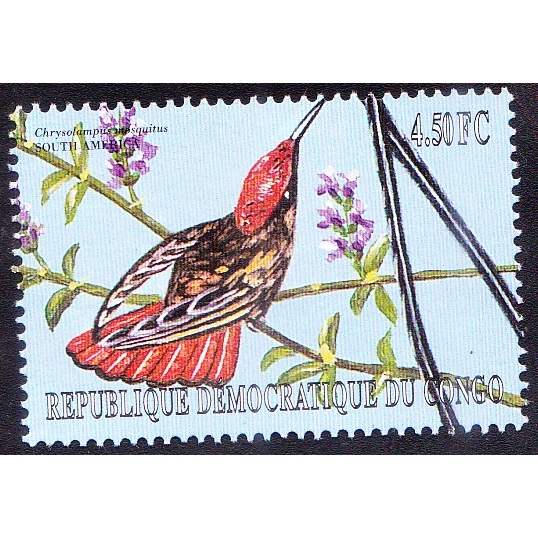

A 11341 SATU BUAH PRANGKO TEMA SATWA BURUNG CHRYSOLAMPUS SIGOTUS DARI SOUTH AMERICA DENGAN KONDISI MNH MINT NEVER HINGED