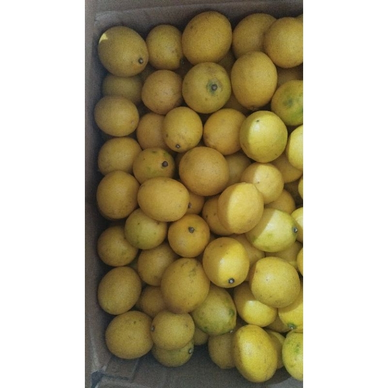 

1 kg lemon california