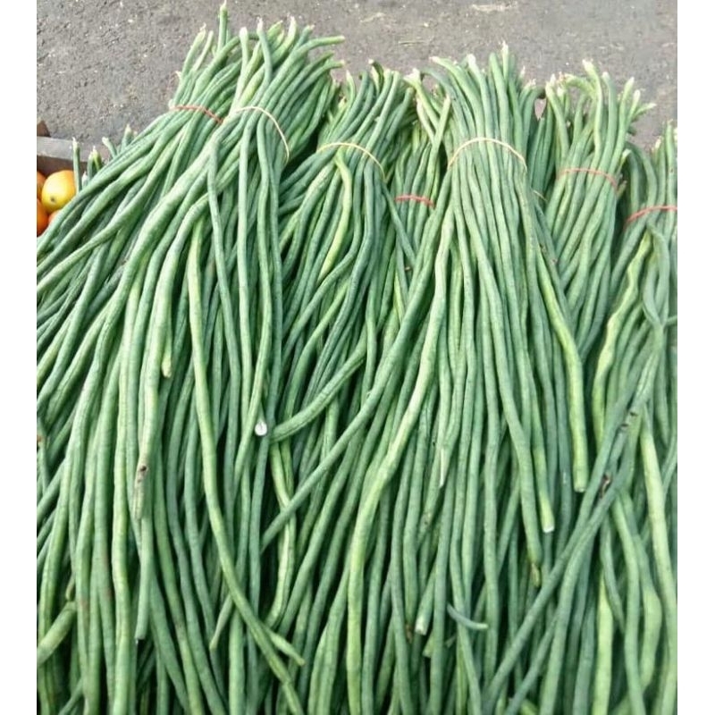 

KACANG PANJANG FRES MURAH 500 GRAM