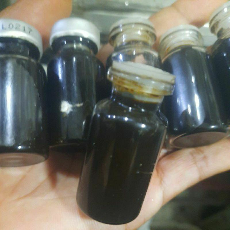 

minyak bumi kental asli kalimantan